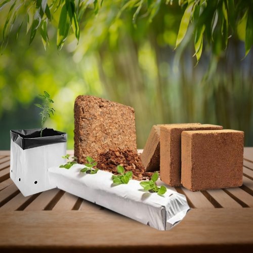 Cocopeat Planks for Hydroponics