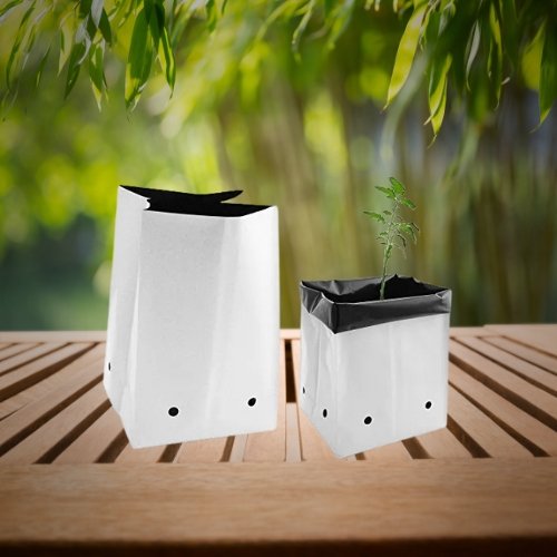 Buy Cocopeat Grow Bags Online