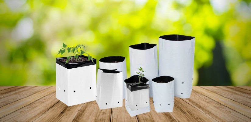 Best Open Top Grow Bags for Tomato Cultivation