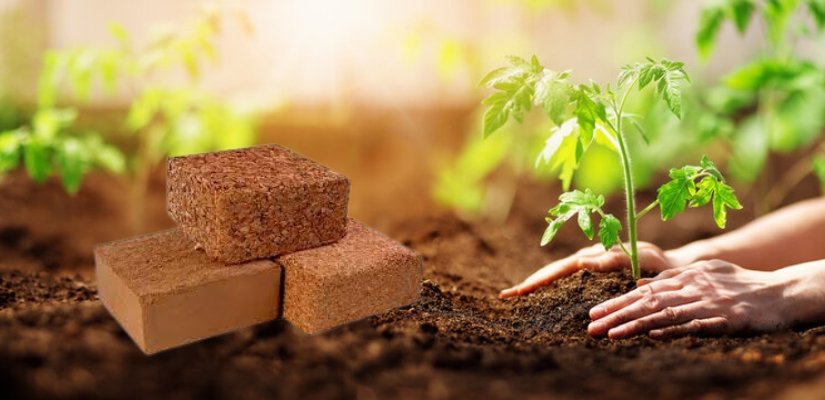 Shop Cocopeat Blocks Online Cocopeat Manufacturer Near Me